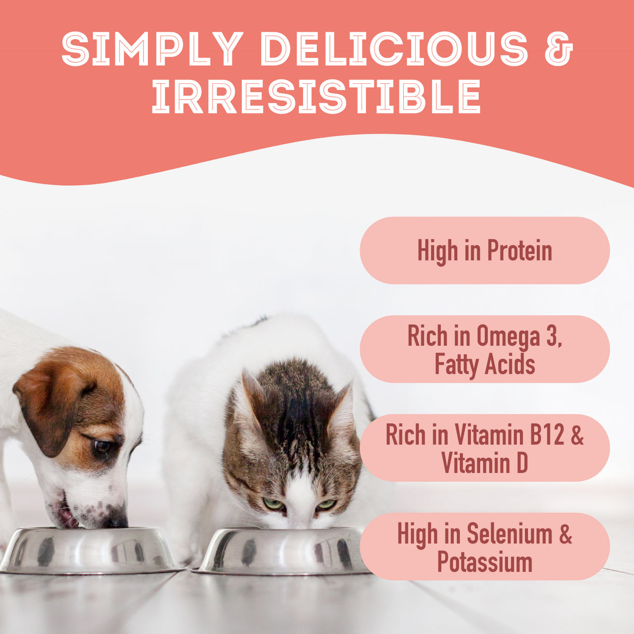 Premium Freeze Dried Tuna Flakes Treat
