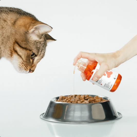 100% Salmon Oil