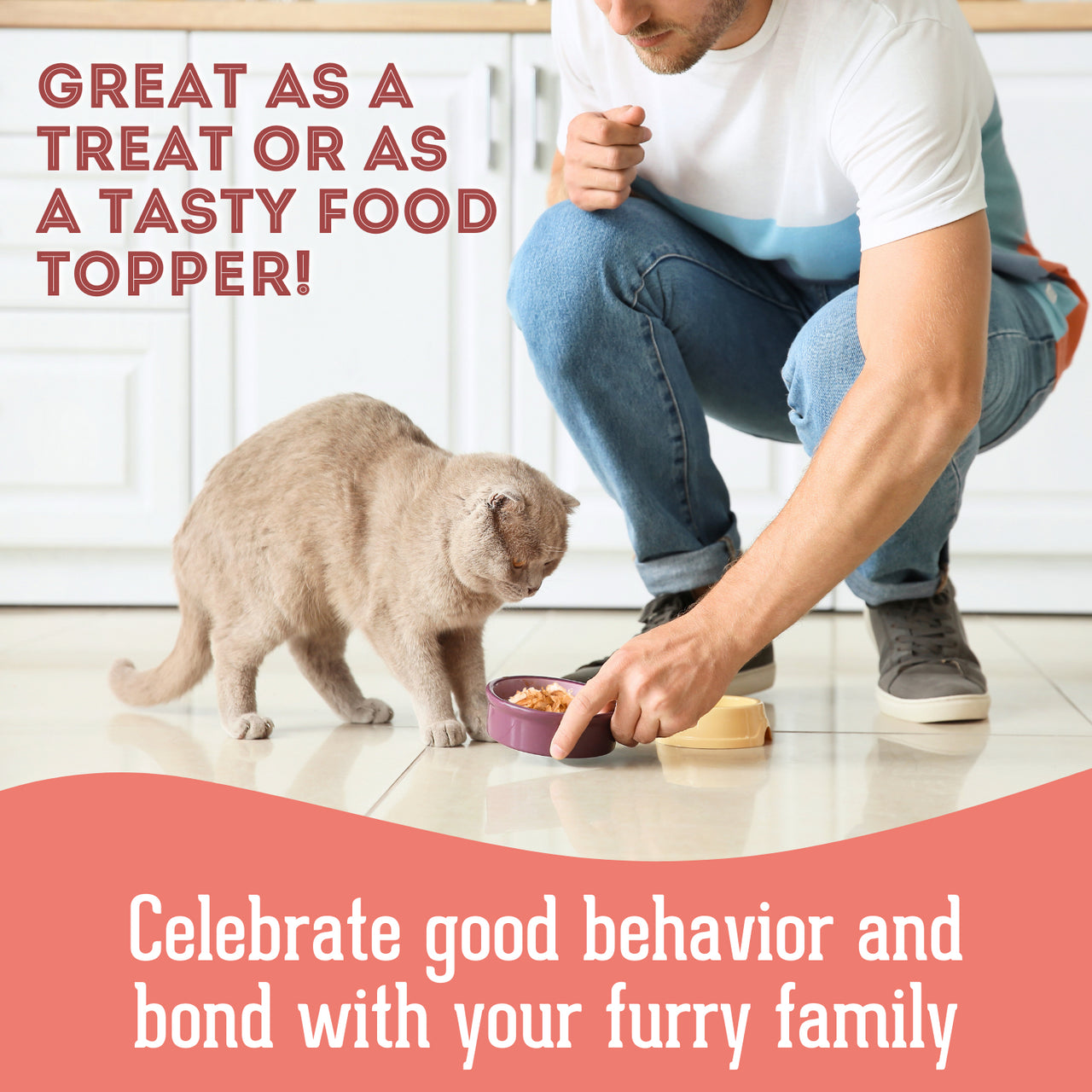 Premium Freeze Dried Tuna Flakes Treat