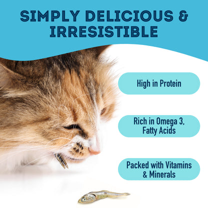 Premium Dehydrated Sardines Treat