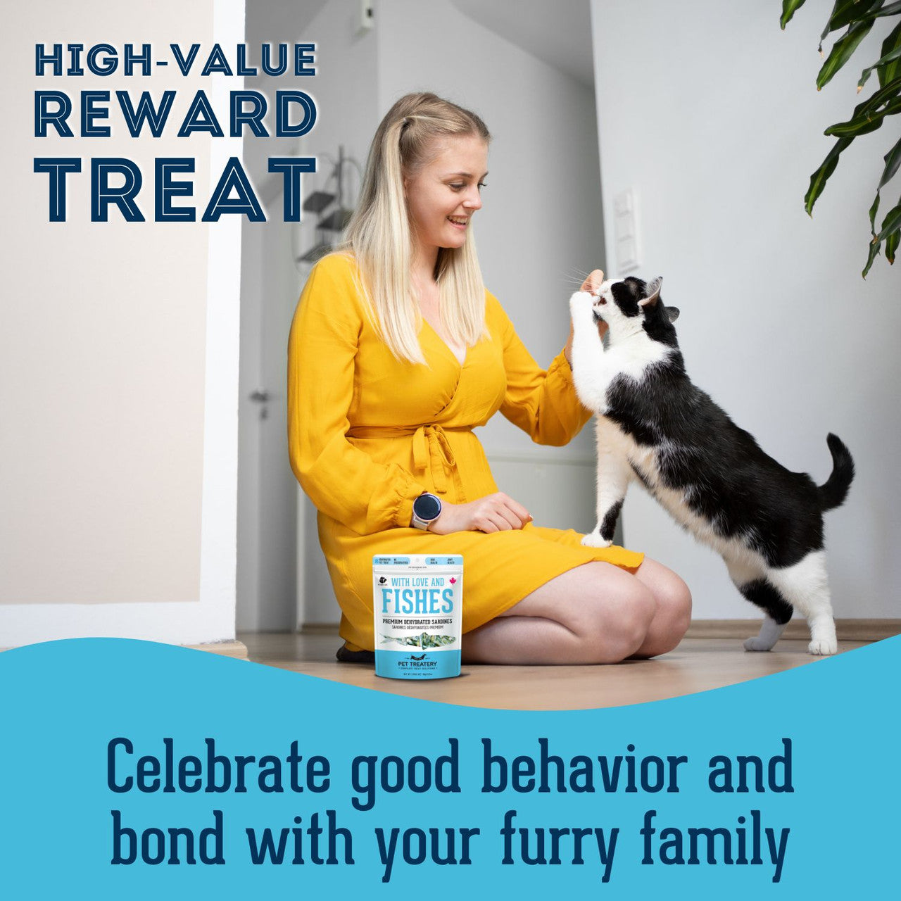 Premium Dehydrated Sardines Treat