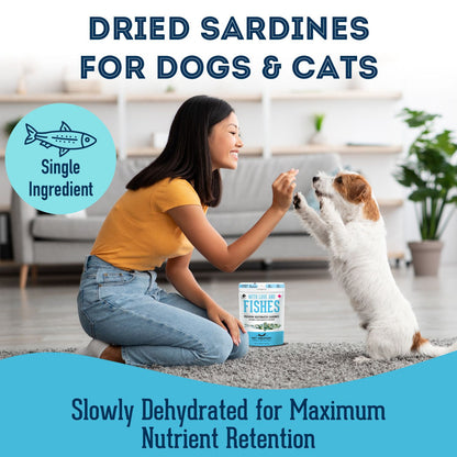 Premium Dehydrated Sardines Treat