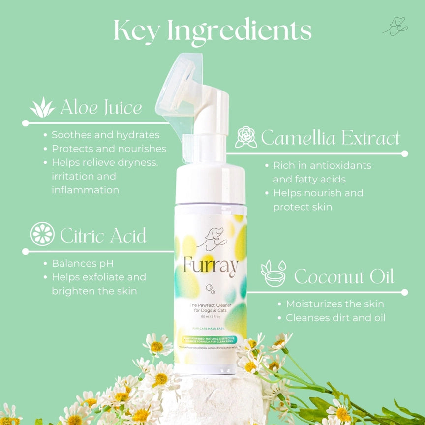 The Pawfect Paw Cleaner