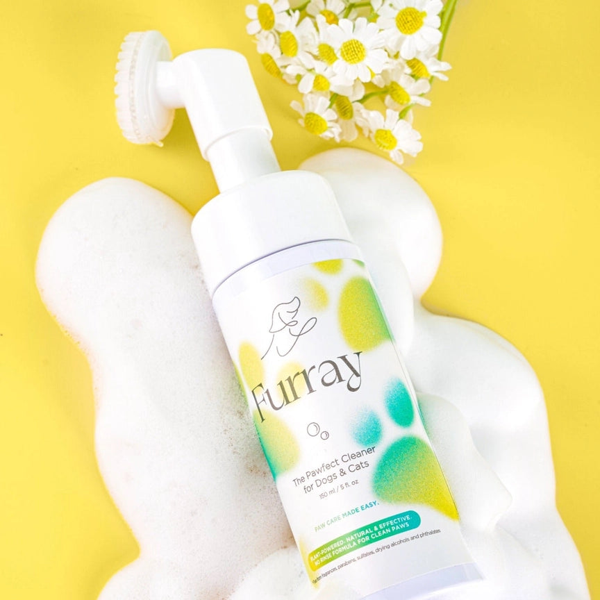 The Pawfect Paw Cleaner