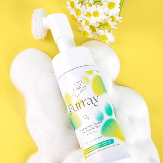 The Pawfect Paw Cleaner