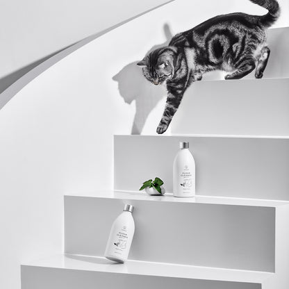 Catnip Floor Cleaner – Cat-Calming, Bug-Repelling