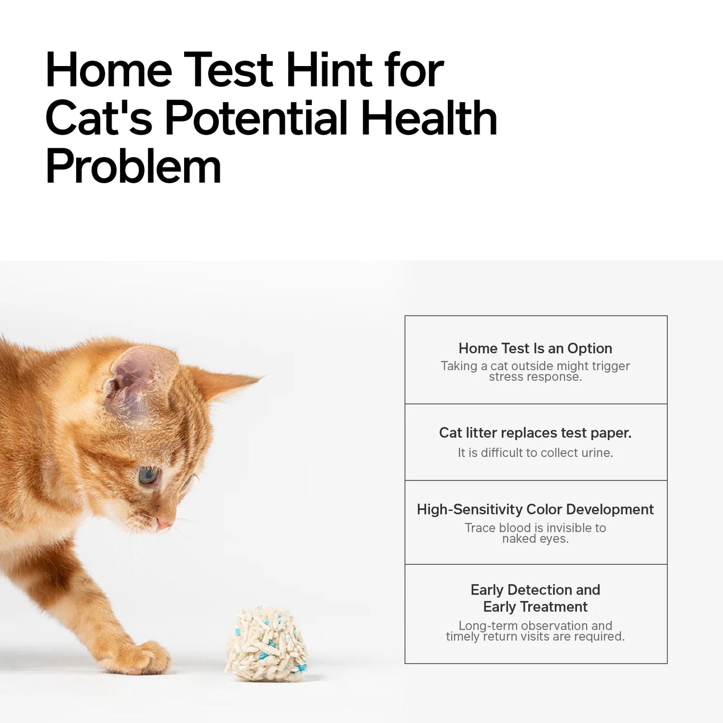 Tofu Cat Litter Occult Blood Test Particles